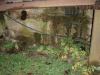 PC060101.JPG - 2009:12:06 16:05:15
