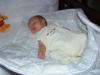PICT5735.JPG - 2006:04:01 18:56:44